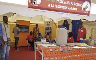 Sodepa at the livestock fair in Ngaoundere
