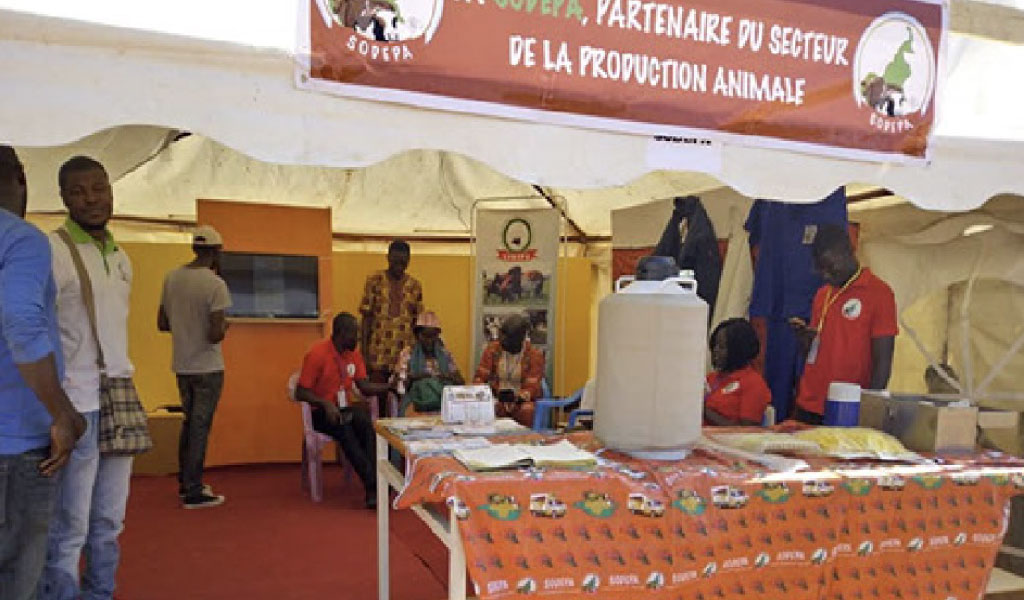 Sodepa at the livestock fair in Ngaoundere